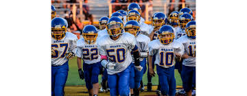 Image result for Lyndhurst Football Club