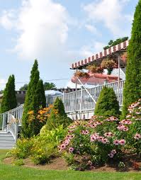 Image result for South Oxfordshire Shogi Club