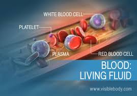 Image result for blood