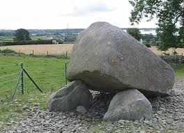 Image result for Rostrevor Hurling Club