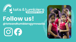 Image result for Tessaro Gymnastics Club