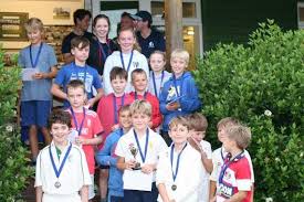 Image result for Aston Ingham Cricket Club