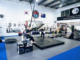 Image result for INTERNATIONAL HAPKIDO TAMWORTH