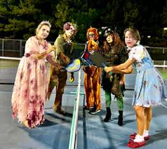 Image result for 1st New Forest Pickleball Club