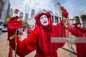 Image result for Reddish Rebels