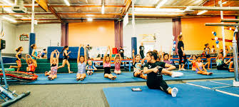 Image result for Charisma Gymnastics Club
