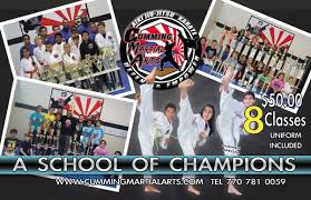 Image result for Cumming Martial Arts Center