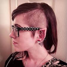 Image result for ear mod