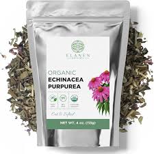 Attēlu rezultāti vaicājumam “Echinacea purpurea leaf”