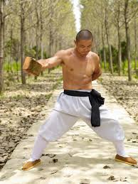 Image result for Bodyfit Martial Arts