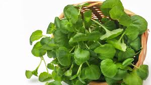 Image result for Brunnenkresse