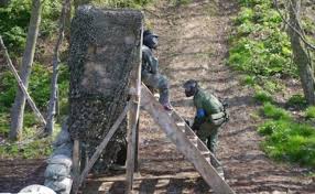 Image result for OX Kings - Paintball
