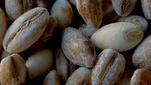 Attēlu rezultāti vaicājumam “Hordeum vulgare fruit”