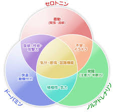 Image result for うつ病 亜型分類