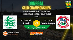 Image result for Aodh Ruadh Clg