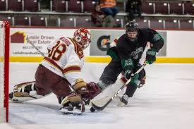 Image result for Norwich City Roller Hockey Club