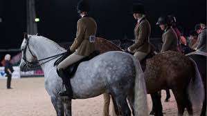 Image result for Stoneleigh Riding Club
