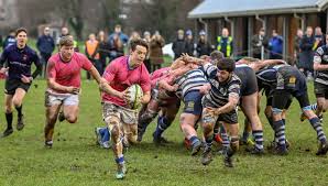 Image result for Diss Rugby Football Club