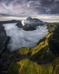 Image result for svikmøllen