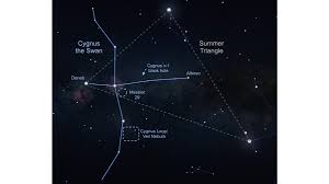 Attēlu rezultāti vaicājumam “Cygnus”