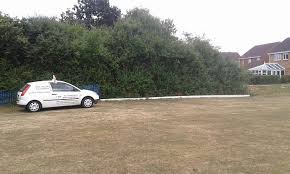 Image result for Stowmarket Cricket Club