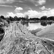 Image result for Tingley Tennis Club