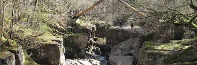 Image result for Callander Bowling Club