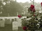 Memorial Day « Lady Nyo's Weblog