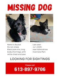 Image result for Inverness Rockets