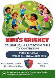 Image result for Horsley & Send Cricket Club