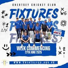 Image result for Chertsey Cricket Club