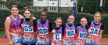Image result for Leighton Buzzard (Beds) Netball Club