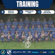 Image result for Liverpool Lizards Speedminton Club