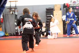 Image result for Northern Academy of Ju-Jitsu