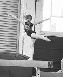 Image result for Wyre Forest School Of Gymnastics