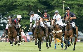 Image result for Cirencester Park Polo Club