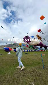 Image result for Kite Ireland