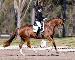 Image result for Bletchingly Badminton Club