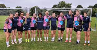 Image result for Beecholme Fc