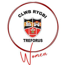 Image result for Morriston Rfc