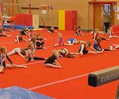 Image result for Harnham Gymnastics Club