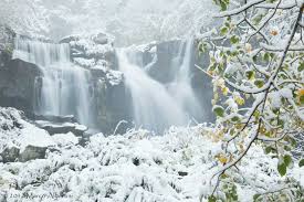 Image result for cascate del dardagna