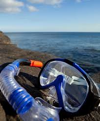 Image result for Darwen Snorkelling Club