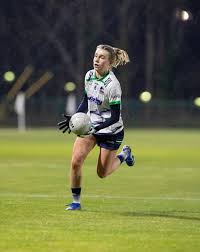 Image result for University Of Limerick Gaa Hurling Club