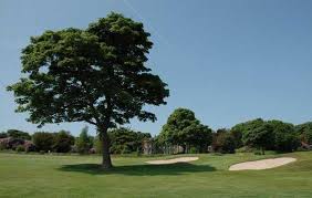 Image result for Huddersfield Golf Club Ltd