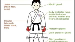 Image result for Jodan Karate