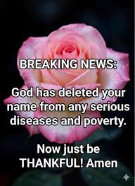 Image result for pheega