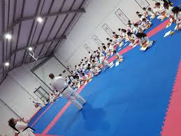 Image result for GKR KARATE - ESSEX & SUFFOLK