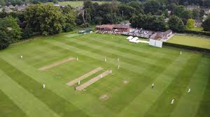 Image result for Shepherdswell Cricket Club
