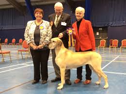 Image result for Great Dane Handball Club, Wapping, London